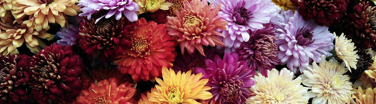 Get Your Bouquet Of Flowers Here!_all-types