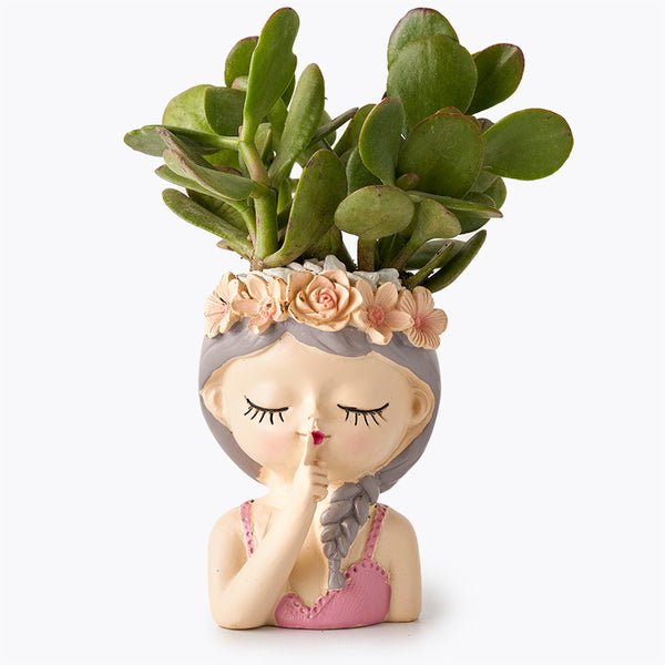 Princess Jade Plant