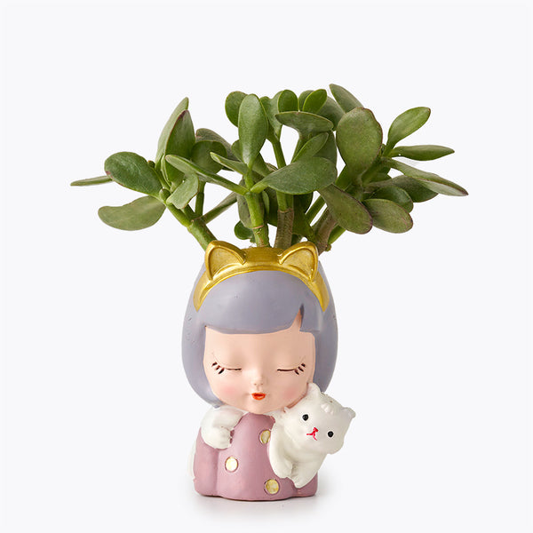 Ms. Jade Plant