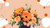 Gerbera Flower Arrangements_collections/gerberas-flower-delivery