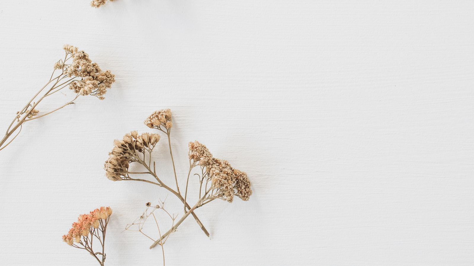 Keep Your Flowers Forever.