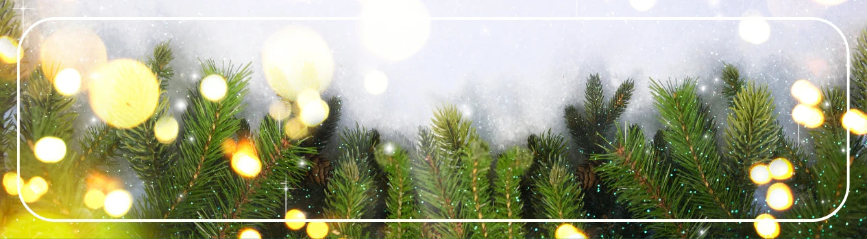 Shop For Christmas Hampers!_christmas-hampers