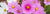 Blooming Birthday Presents_birthday-flower-delivery
