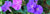 Browse Other Flowers!_nationwide-flower-and-gift-delivery