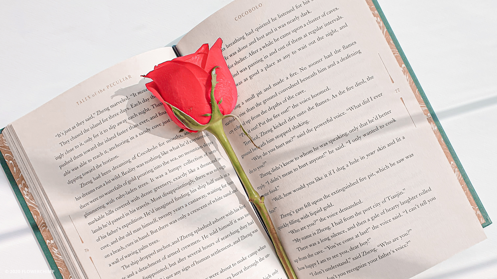 11.11 SALE_all-types