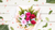 Flowers For All Occasions_all-types