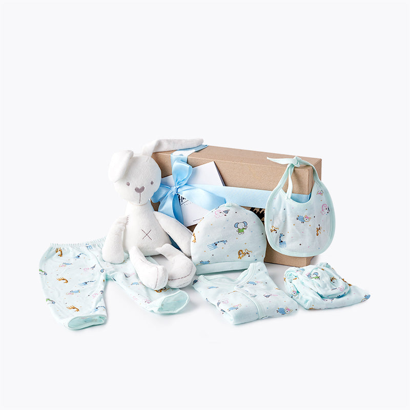 Baby Bernie Gift Set