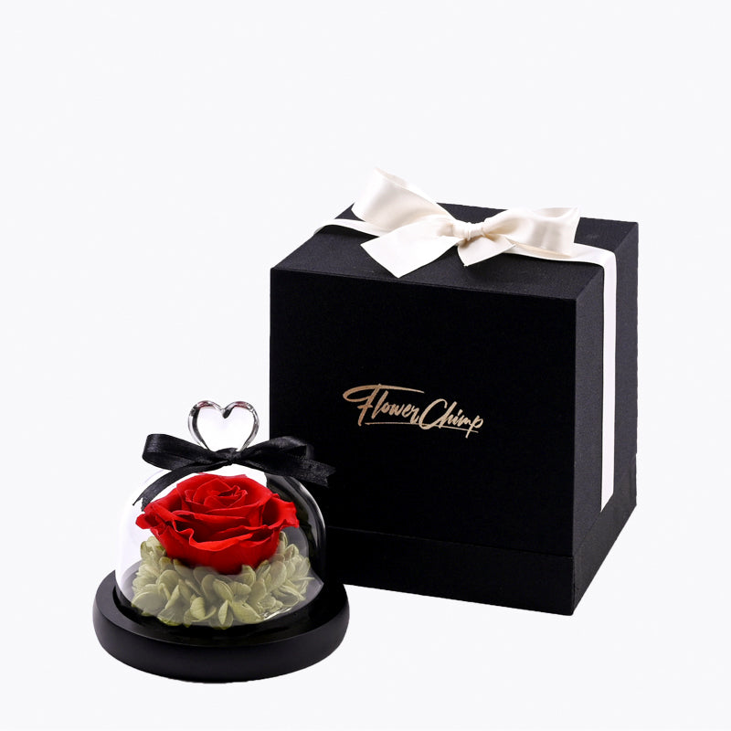 Preserved Flowers Philippines Everlasting Roses Delivery